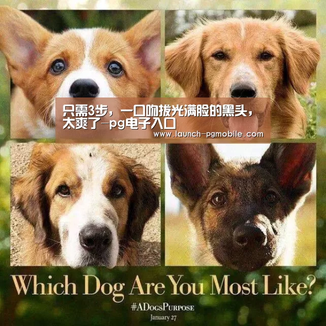 只需3步,一口吻拔光满脸的黑头,太爽了-pg电子入口(图1) PG试玩