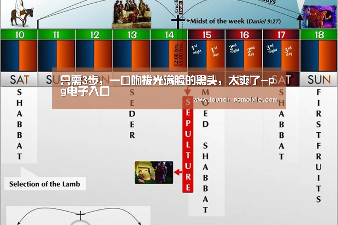 只需3步,一口吻拔光满脸的黑头,太爽了-pg电子入口(图3) PG试玩