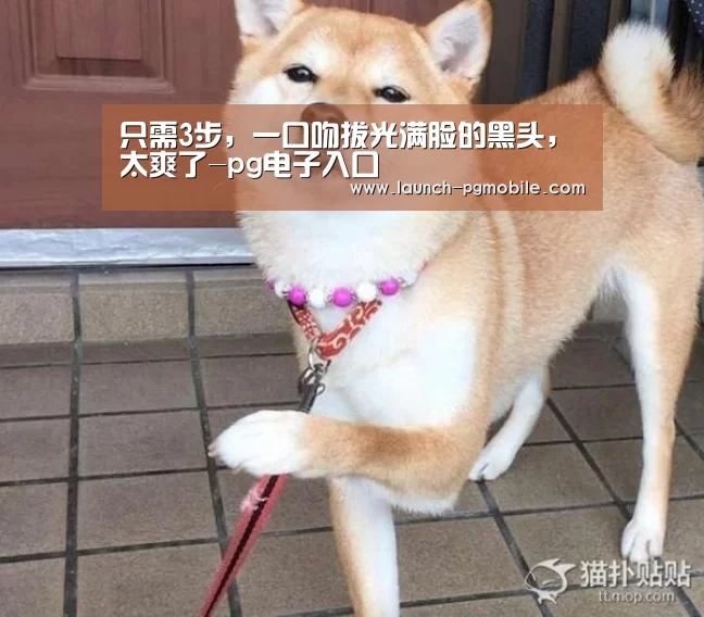 只需3步,一口吻拔光满脸的黑头,太爽了-pg电子入口(图2) pg电子下载