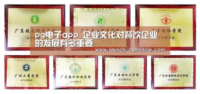 pg电子app_企业文化对餐饮企业的发展有多重要(图2) pg电子下载