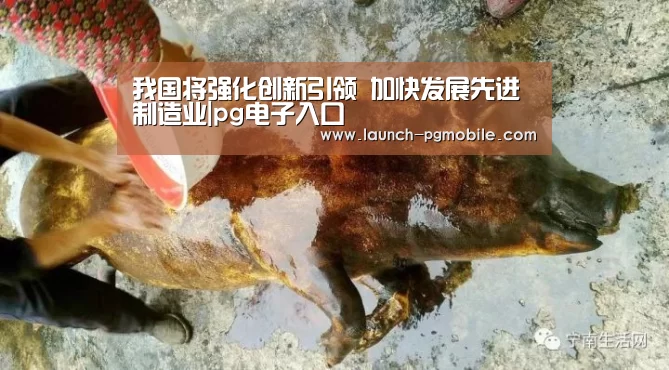 pg电子入口