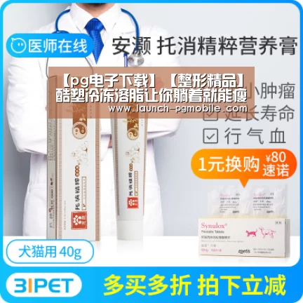 pg电子下载