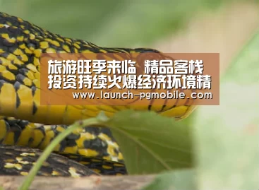 旅游旺季来临 精品客栈投资持续火爆经济环境精品客栈休闲度假度假景区-pg电子app(图4) pg电子下载